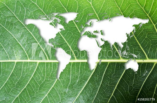 Picture of Ecology and think green concept of world map on fresh green leaf texture background